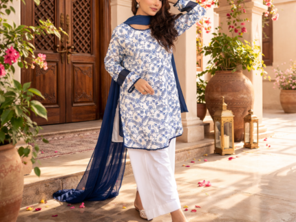 Blue & White Floral Chikankari Ready-to-Wear Ladies Kurta Set